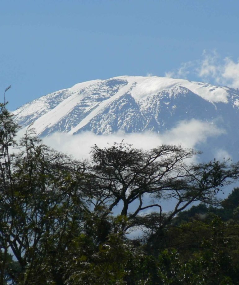 A-Kilimanjaro-01
