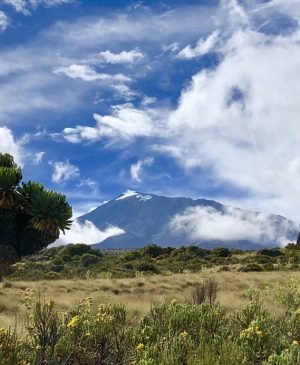 AA-Kilimanjaro-07
