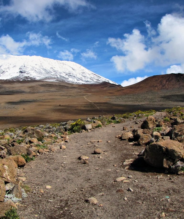 Kilimanjaro-03