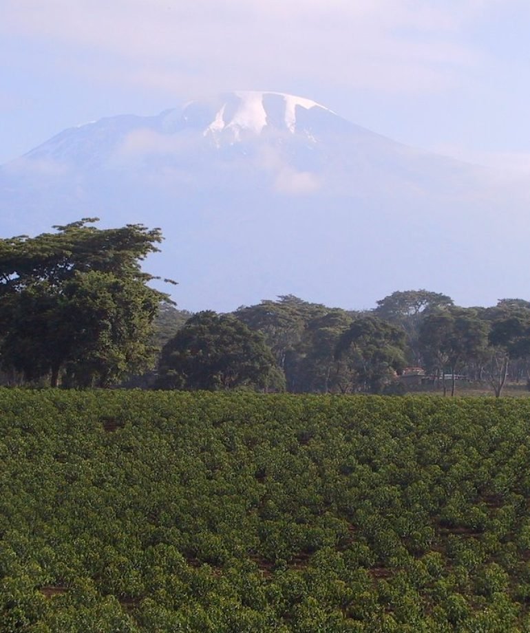 Kilimanjaro-09